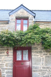 christmas hayley 088